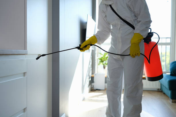 Best Office Mold Removal Services  in Gold Hill, OR